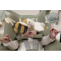 Jouet d'activités pour poussette - Little Dutch