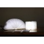Booklight bois Grand Modèle - leli concept store